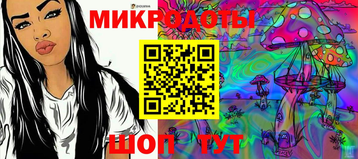 Псилоцибиновые грибы Psilocybe Урюпинск