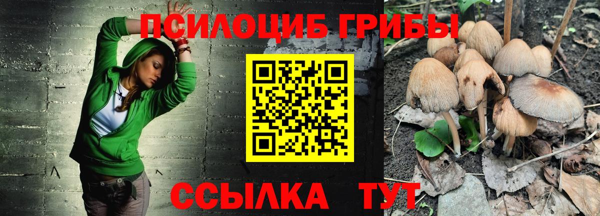 Урюпинск  Псилоцибиновые грибы ЛСД  купить  сайты  Вход с VPN 